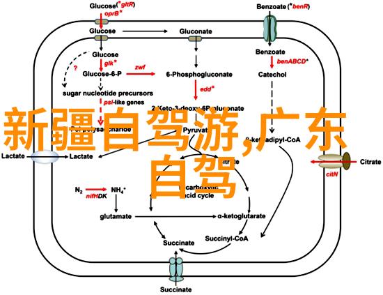 国内旅游市场加速回暖从天津直达兰州开车这条路线最快