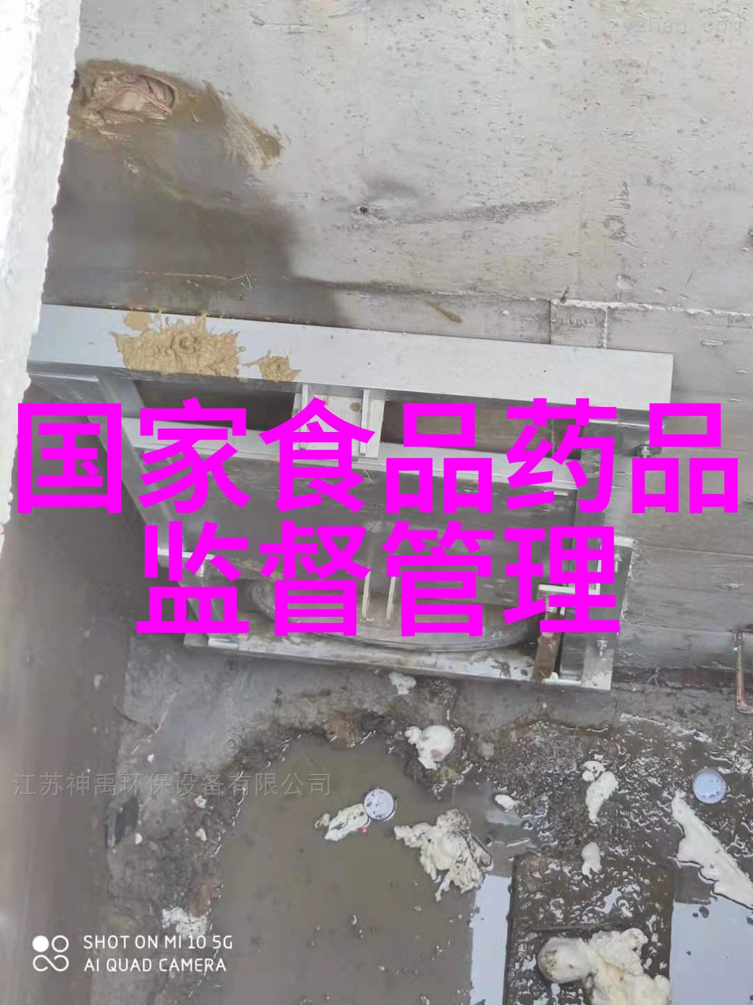 南京自驾游研究探索文化遗产与现代都市融合的旅游体验