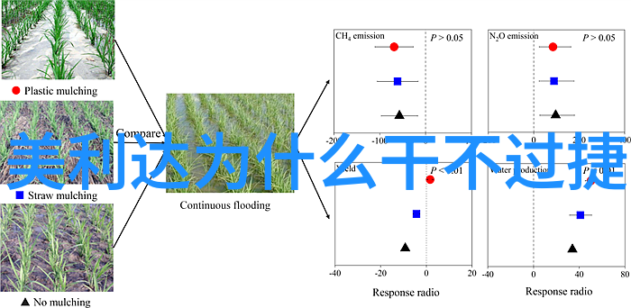 皖南川藏线自驾游攻略 - 梦幻之旅揭秘皖南川藏线的最佳行程与必备准备