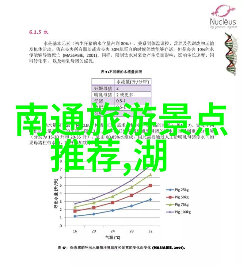 户外乐趣盛开创意游戏引领幼儿园新篇章