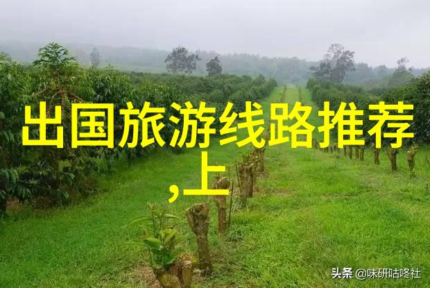 在云南大理民族村翡翠市场中使馆提醒伊公民尊重当地能否请懂行的大师鉴定一下这是一件什么样的宝石