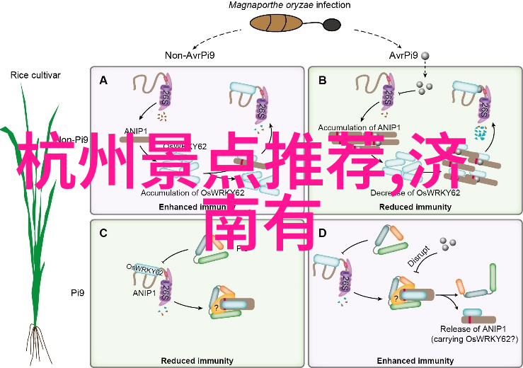 青岛美食探秘品味海鲜与德国风情