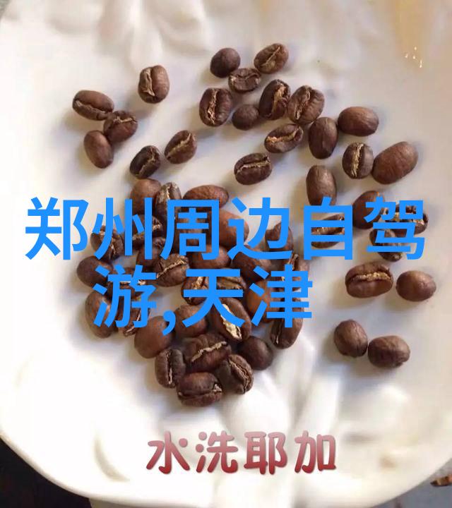 骑行人群的兴起背后隐藏着哪些社会文化变迁