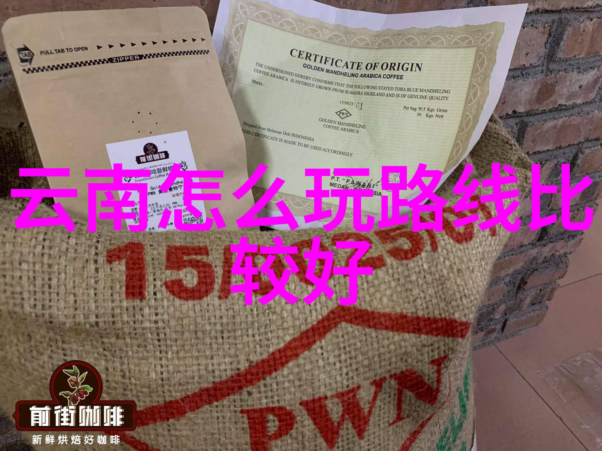 不离不弃人与宠物间深情的故事集