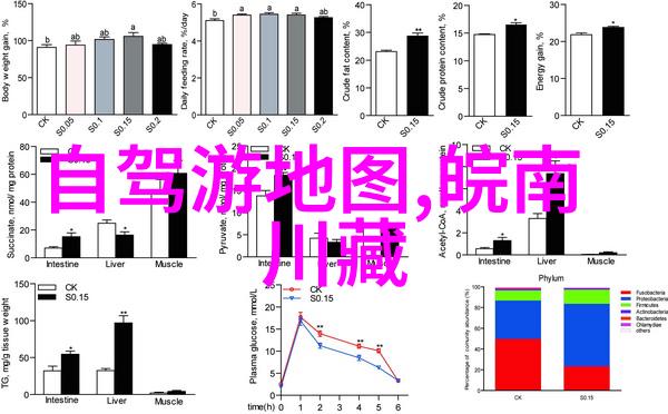 湖北旅游景点推荐 - 探秘武当山领略江汉平原的文化奇迹