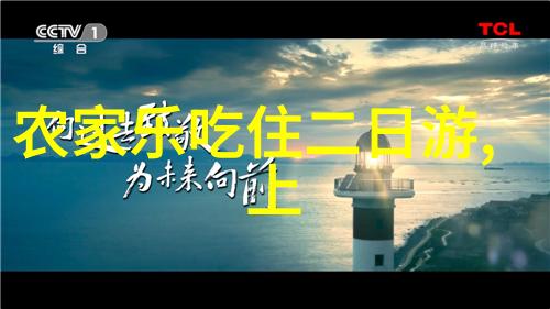 上海民宿排名探索最佳住宿选择