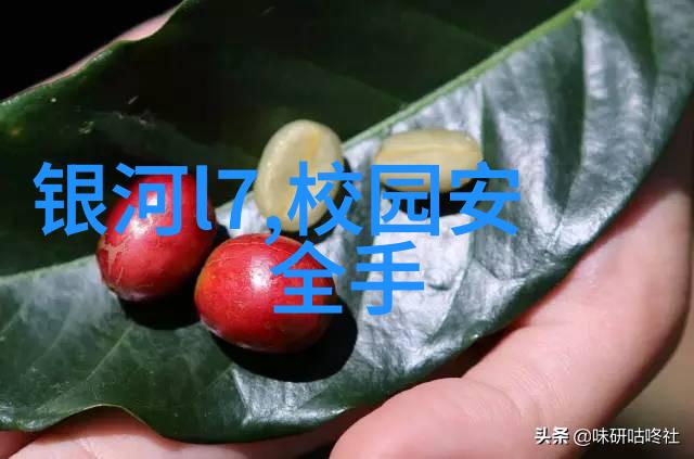 贵州黄果树瀑布-碧波荡漾探秘贵州黄果树瀑布的自然奇观