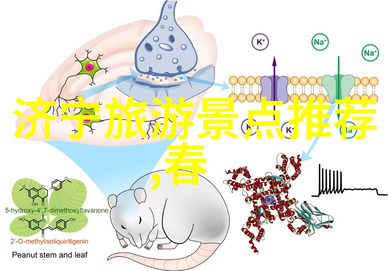 游历千山万水究竟有何秘密等待着我们去发现