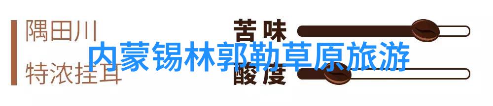 折叠自行车的诱惑与隐忧为什么不建议购买