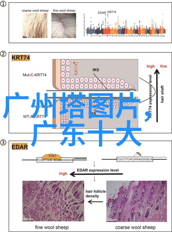 走进古风小镇宁乡县城深度游记及购物推荐