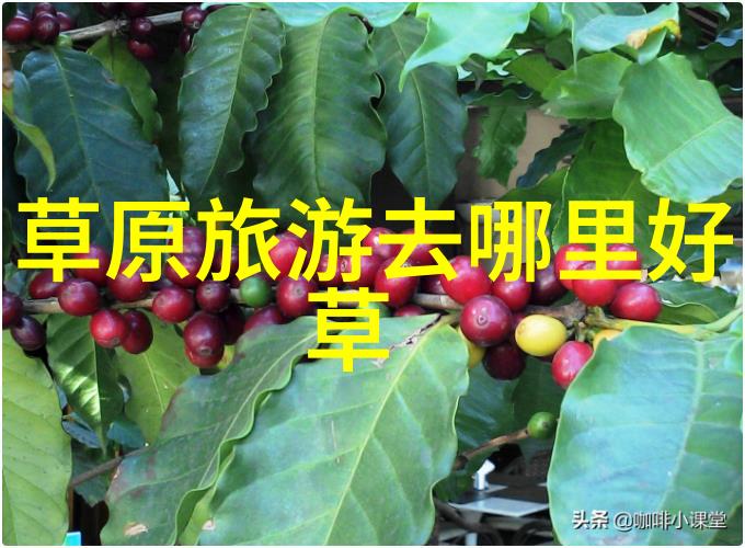 小说蜗居-书香小屋里的隐世生活