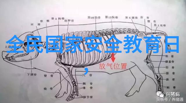 情侣野营帐篷中的中山长江水世界双重乐趣等你来体验