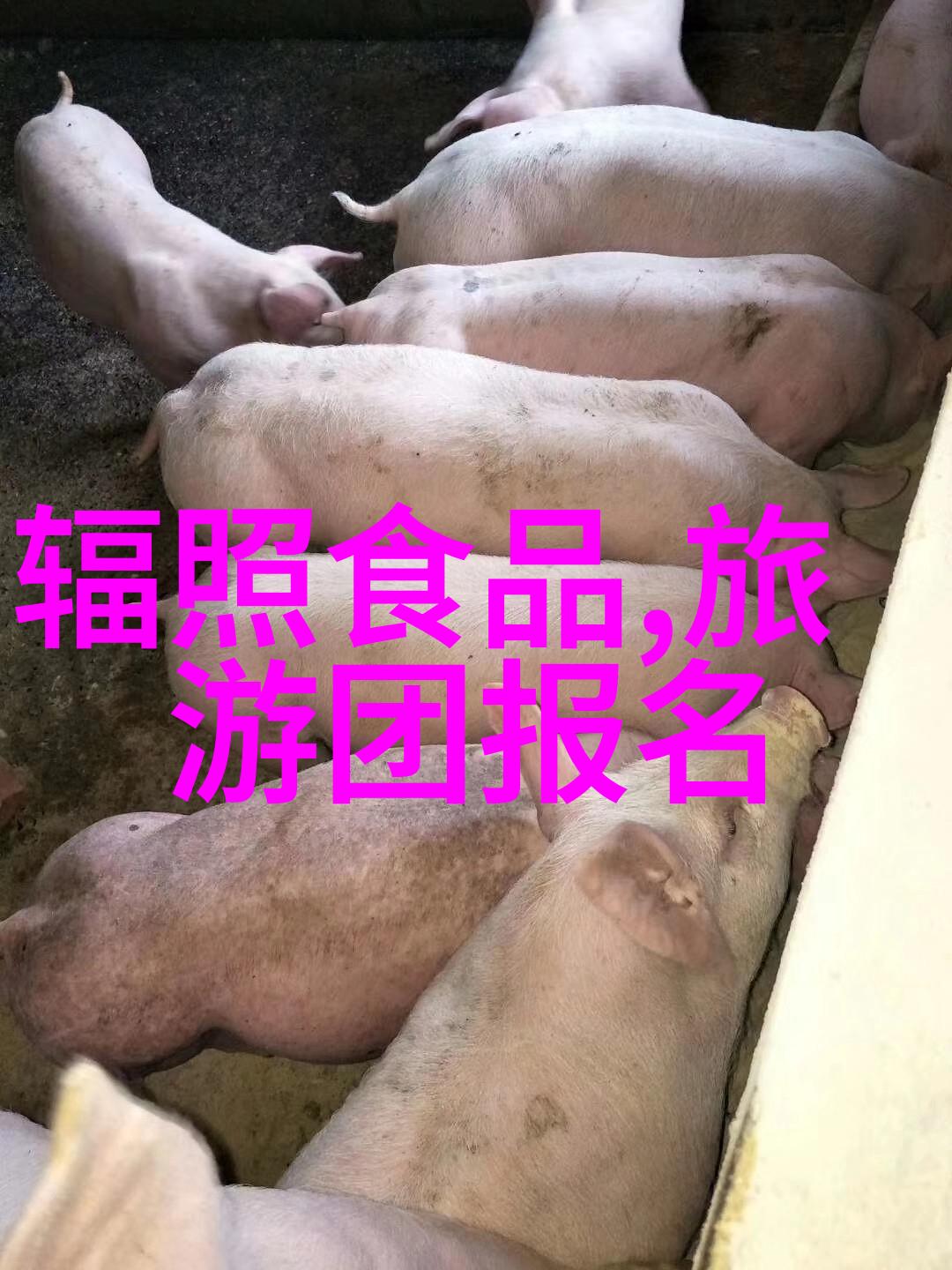 南京美食盛宴品味本土佳肴的经典餐馆如明阁酒家清凉山庄等