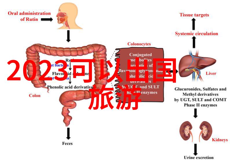 农民人伦的深度探究