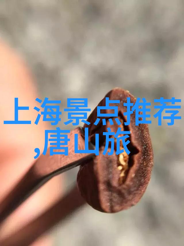 骑行人群的魅力钢铁之躯与自由翱翔