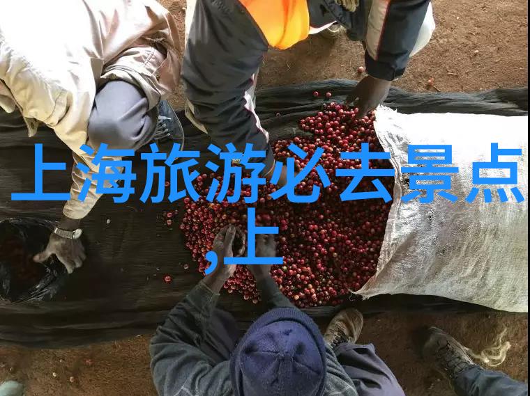 环球探险深度解析不同文化的节日庆典