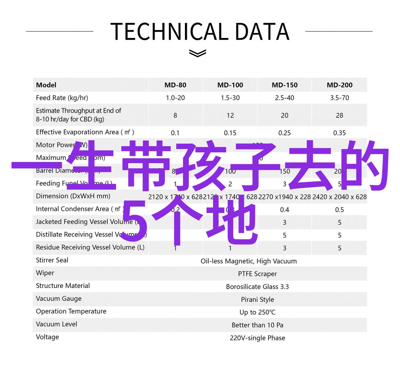 青岛4天3晚自由行攻略探索胶州湾山东博物馆与老城区的魅力之旅