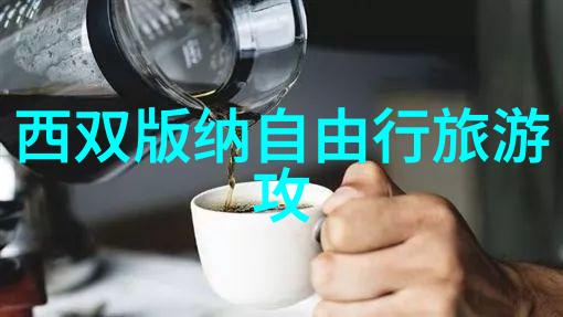 小学儿童户外活动方案研究提升孩子们自然体验与学科知识的综合性融合