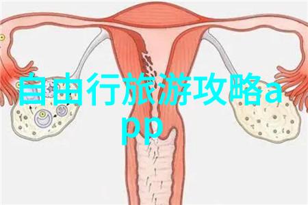 森林漫步利用大班户外活动观察记录表提升学生对自然界的理解