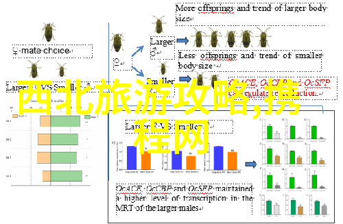 广西到罗平自驾游探索自然之美的西北旅行攻略