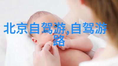 户外拓展训练让孩子们在大自然中绽放成长的翅膀