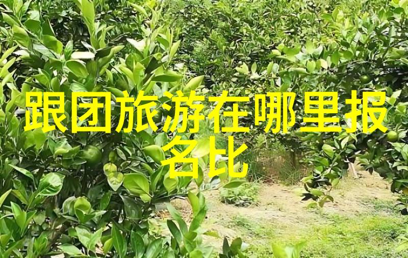 桂林旅游攻略必去景点 - 梦幻碧波探索桂林山水甲天下之美