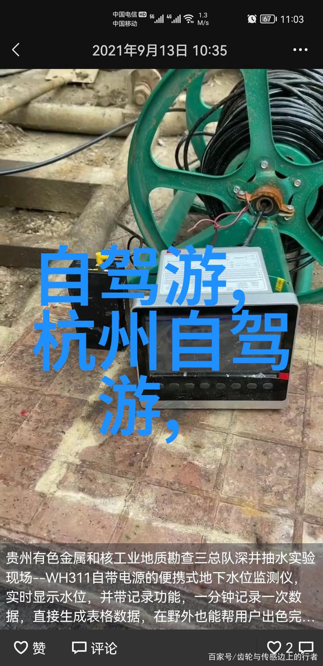 血色玫瑰爱恨交织的悲剧