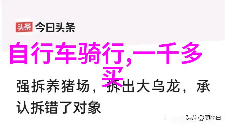 潜水与仪式感的疯狂组合在自然中制定独特户外活动方案