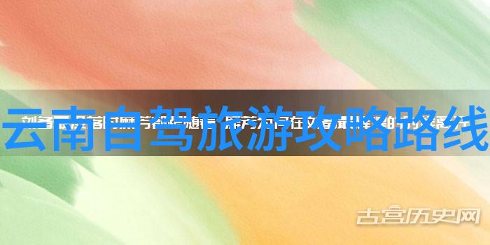 数字9的魅力从九宫格到九月天