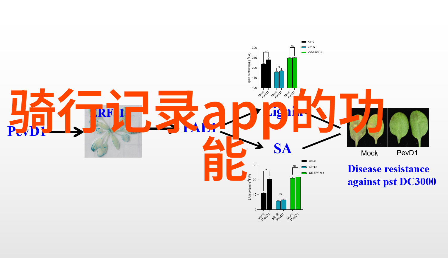 乌镇景区旗下酒店简介探索传统与现代的完美融合