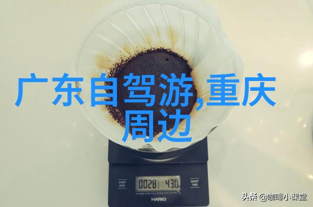 西安吃货必去的地方我在西安的美食探险那些让味蕾舞动的街头小店