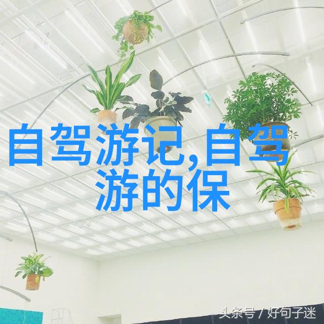 南京本地菜美味餐馆推荐品尝江南风味