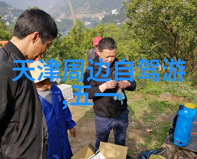 北京周边旅游攻略必去景点京城周游指南密云水库八达岭古道颐和园长城风情