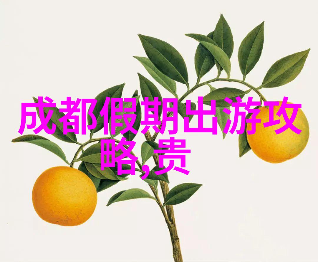 金箍棒与法术之争传统文化的反思