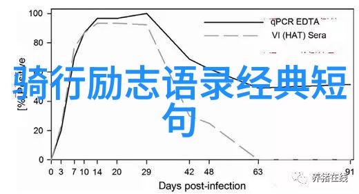 探寻双指洞察力一分钟200次的挑战与启示