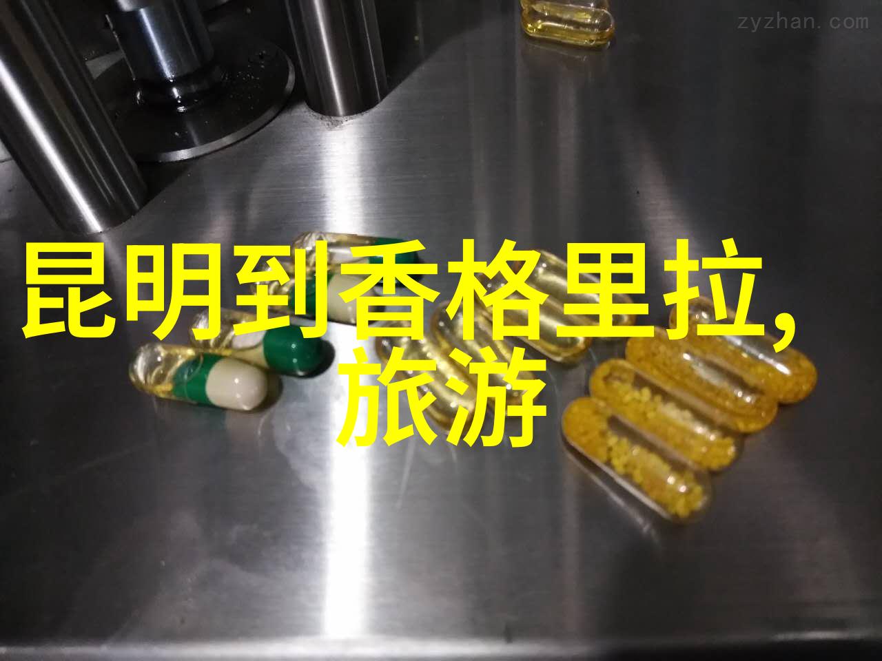 霍去病骠骑行西汉名将霍去病的征战生涯