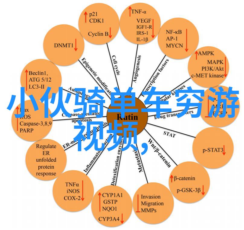 最新旅游景区新闻你想去的那片天空岛现在可以预订了