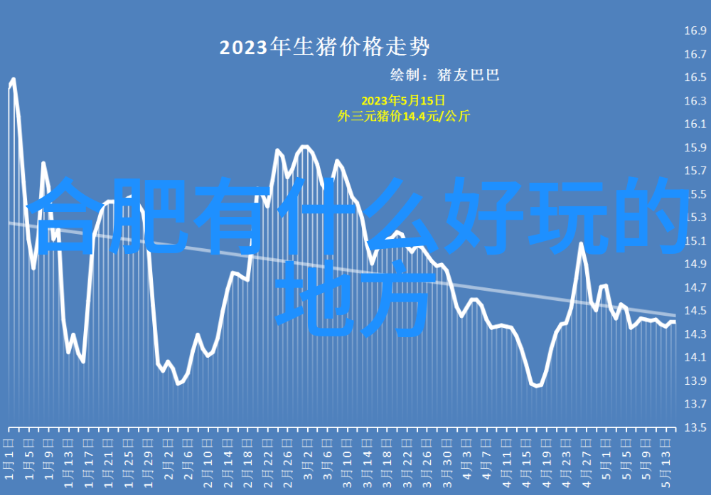 厦门美食盛宴哪个城市美食最多探秘厦门出名小吃