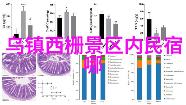 潜水装备中的地铁哲学一场大型团建活动策划的深度思考