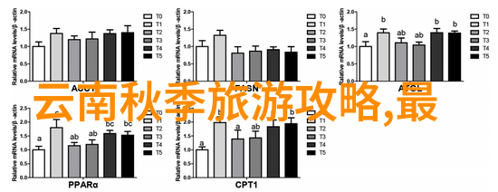 广州疫情最新消息防控措施加强民众如何适应