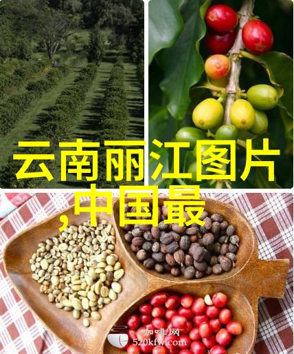 北京小吃之都品味传统与现代的美食风情