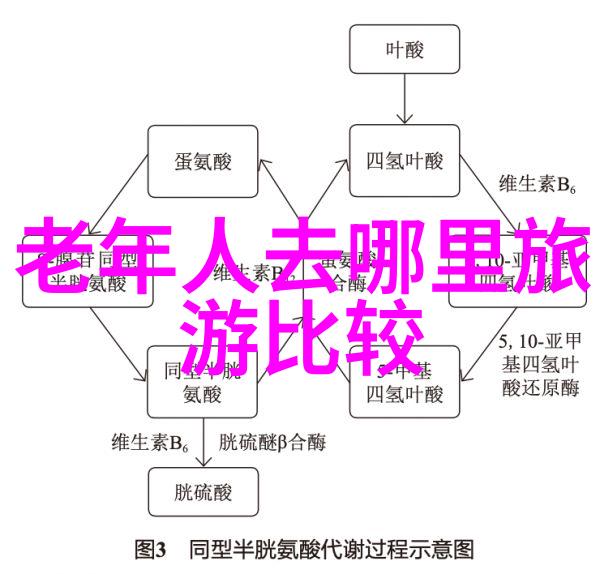 从客厅C进卧室好不好的小说-隐秘的通道客厅与卧室之间的故事