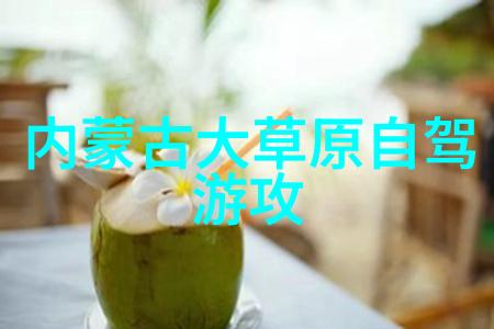 苏州美食指南品味江南佳肴的艺术与魅力