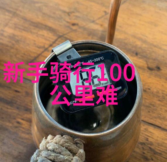 四年级游记作文武汉东湖之旅探秘自然的魅力