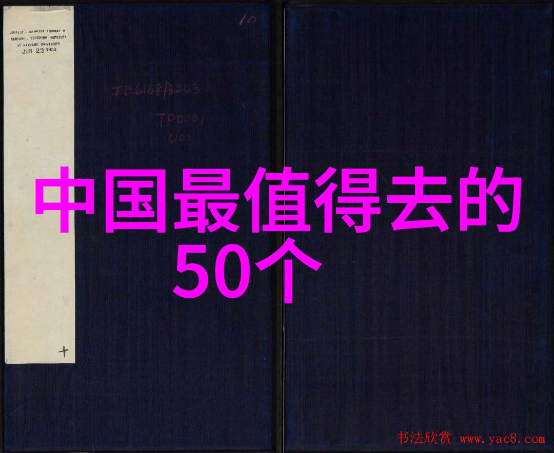 在探索上海外滩的美食奇缘中你准备好迎接哪些味蕾革命