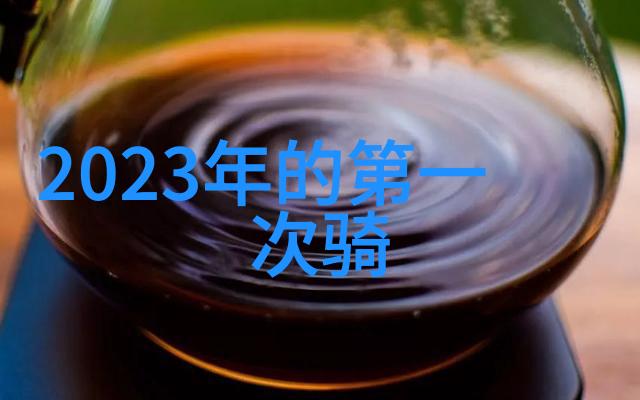 丽江古城与大理洱海的文化生态一项跨学科研究探究