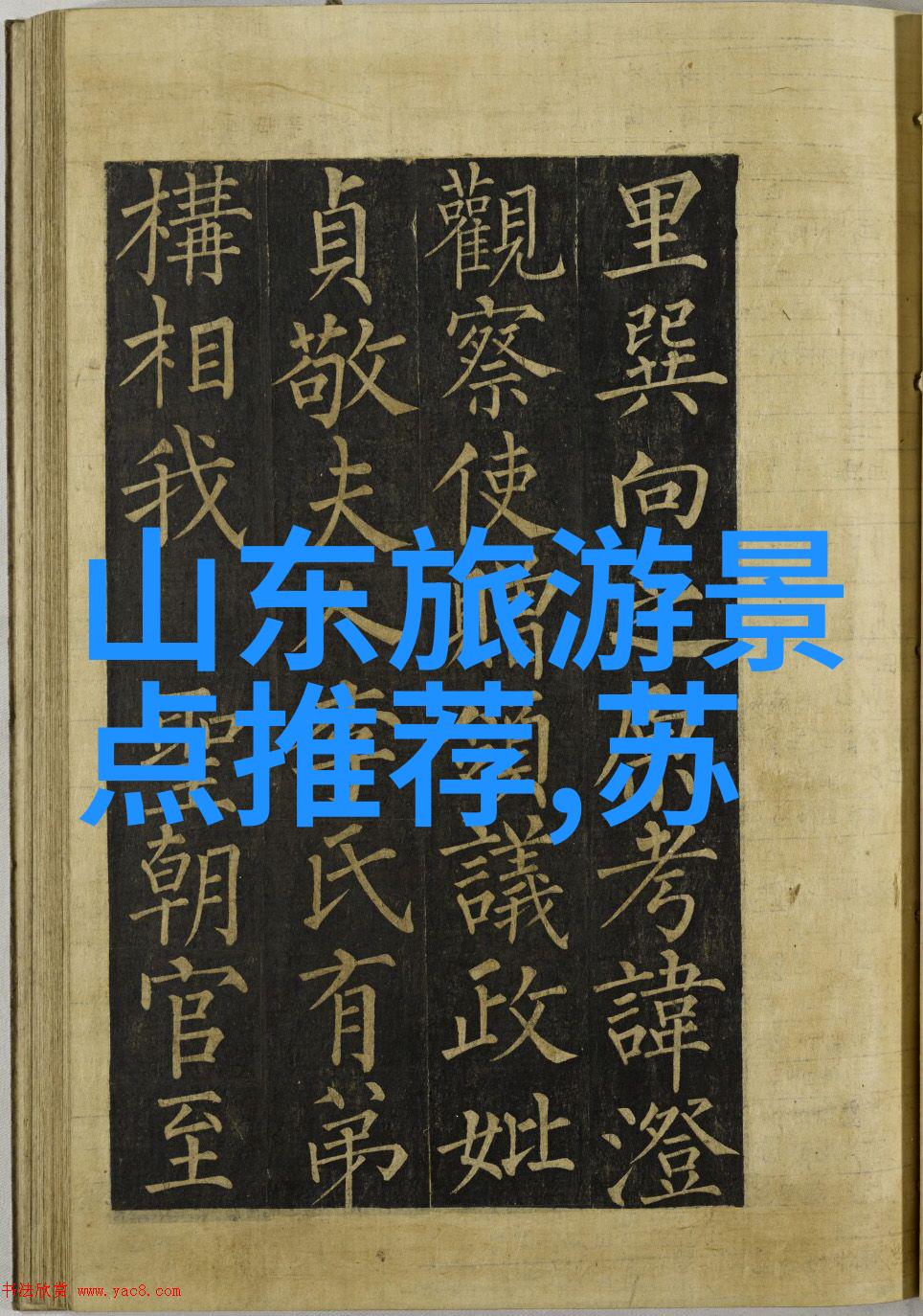 揭秘最火的骑行App软件探索最佳选择