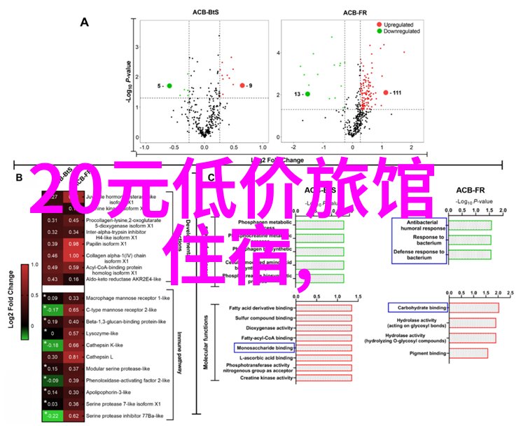 C位学校的孤独