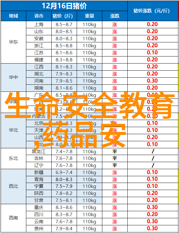 暑假穷游必去探秘汕头金砂公园沙滩水族世界与夜景盛宴