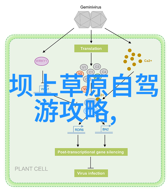 我的卡丁车冒险穿梭在风火轮上